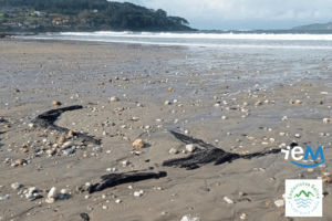 b4b88985-162b-41ec-a43f-993ced3fd098