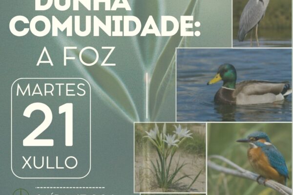 Cartaz Xeiras IEM A FOZ(1)
